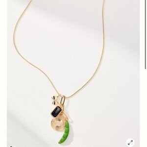 NWT Anthropologie Cluster Charm Icon Necklace